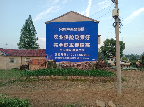 彬州墙体广告为何受追捧？